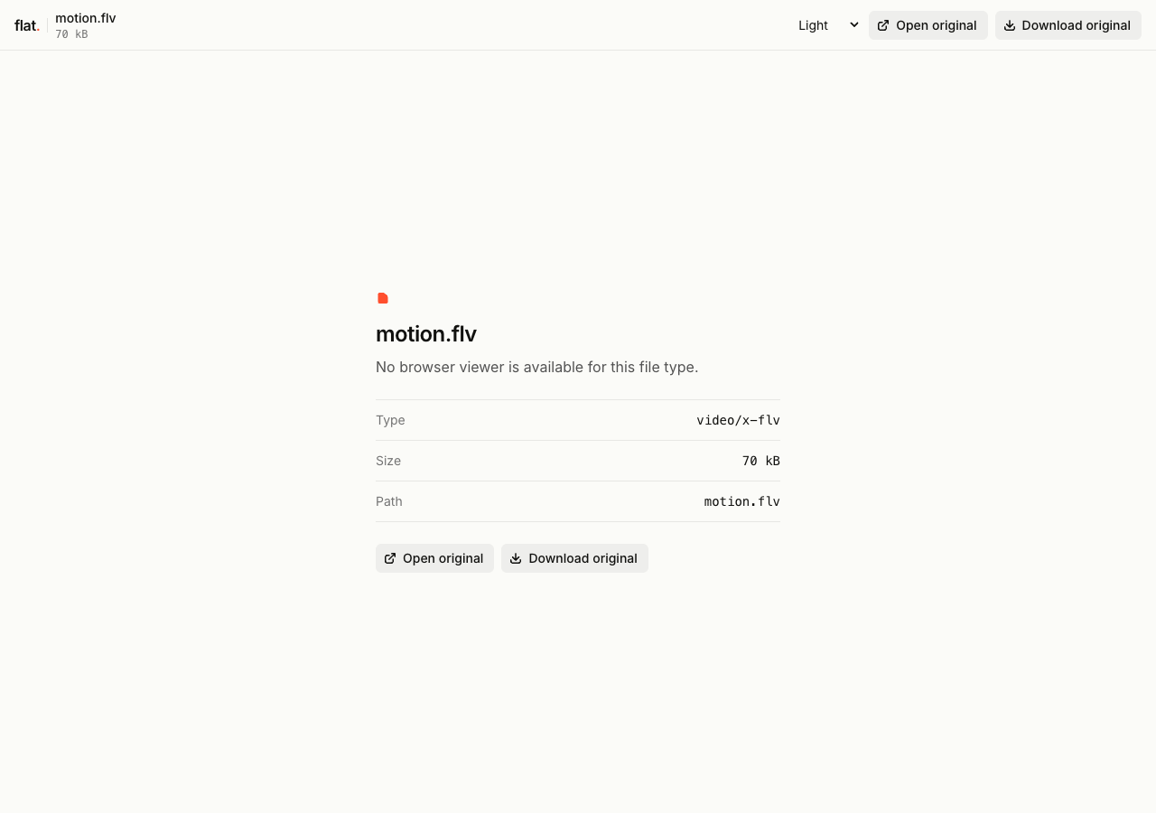 Flat's FLV download view displaying file information and original-file actions.