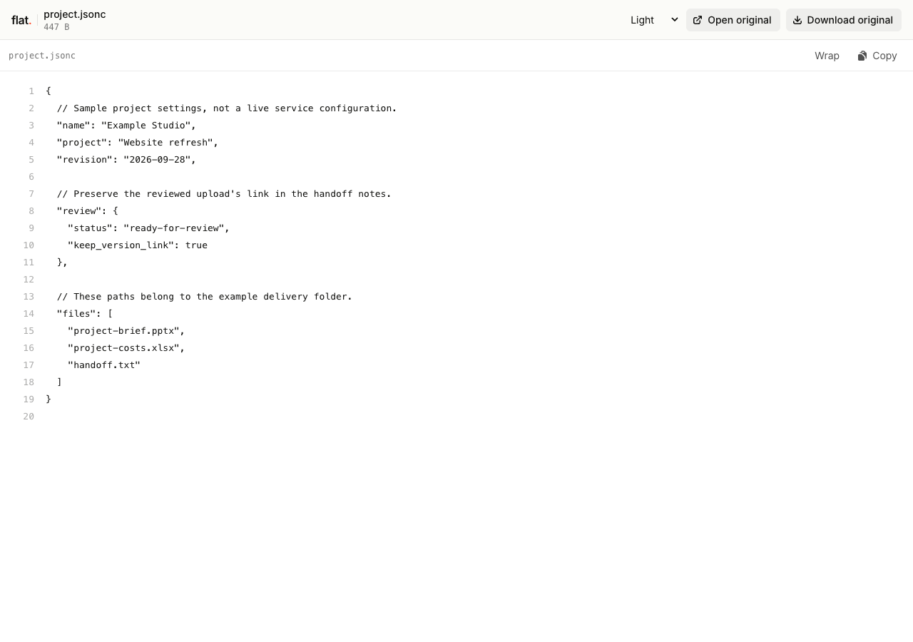 Flat's JSONC viewer showing highlighted project settings and explanatory comments without converting them to strict JSON.