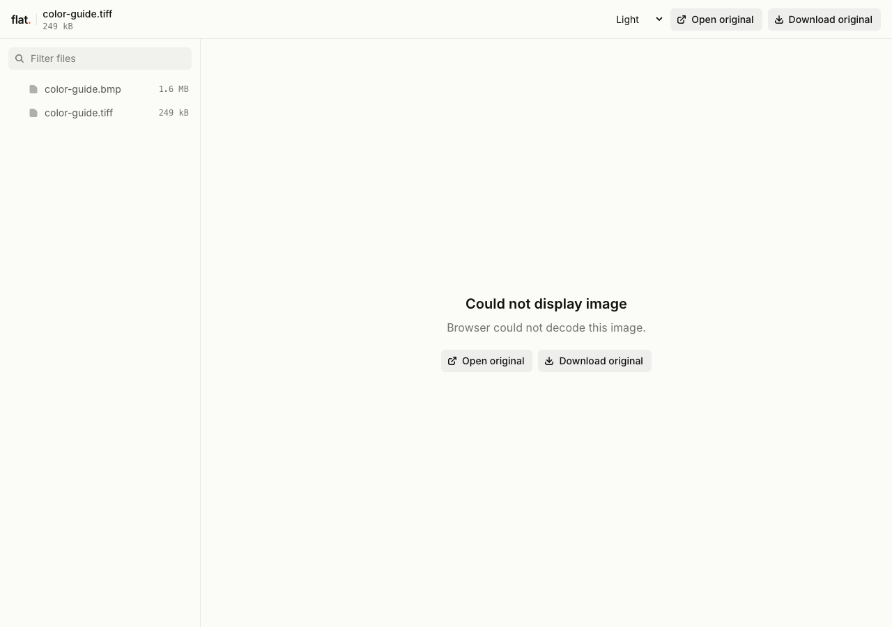 Flat's viewer with the TIFF selected, a browser decoding error, and actions to open or download the original file.
