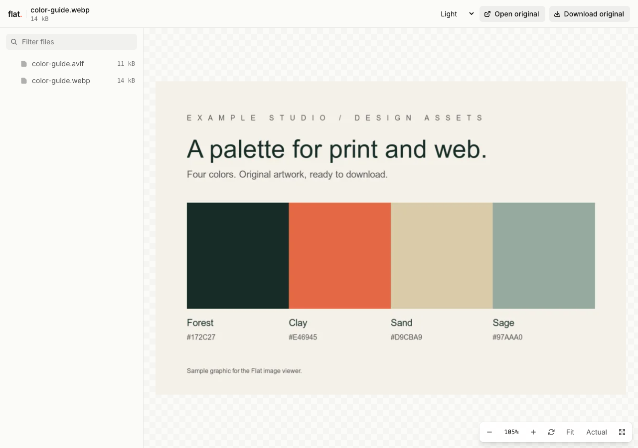 Flat's file explorer with the WebP color guide selected and displayed in the image viewer.
